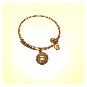 Alex and Ani Pisces bracelet